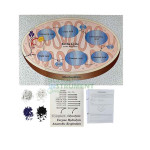 Molecules of Metabolism: Understanding Digestion and Respiration (Station Approach) Kit